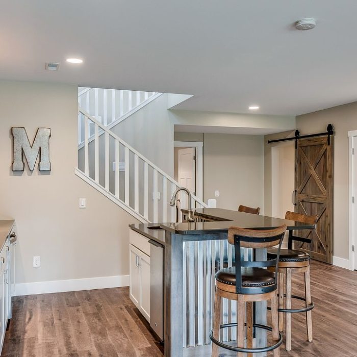 Finished Basement (4)